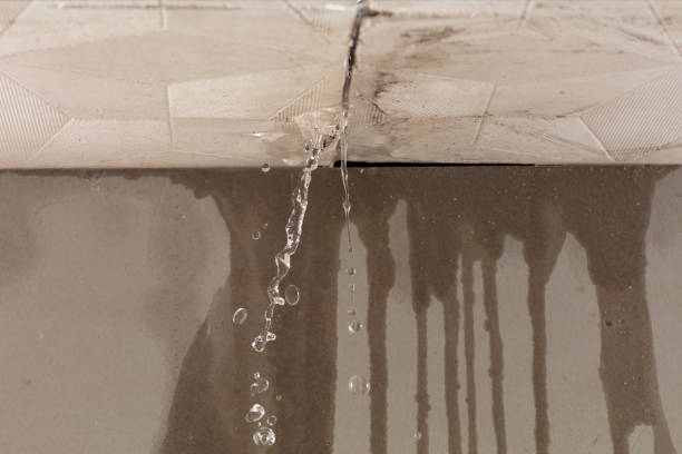 Professional Sewage Cleanup technician working in Lewisville, WA
